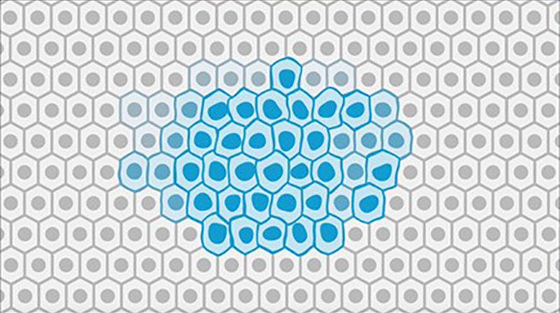 Getting Diagnosed Cells Animation